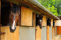 free Coed Y Paen stable construction quotes